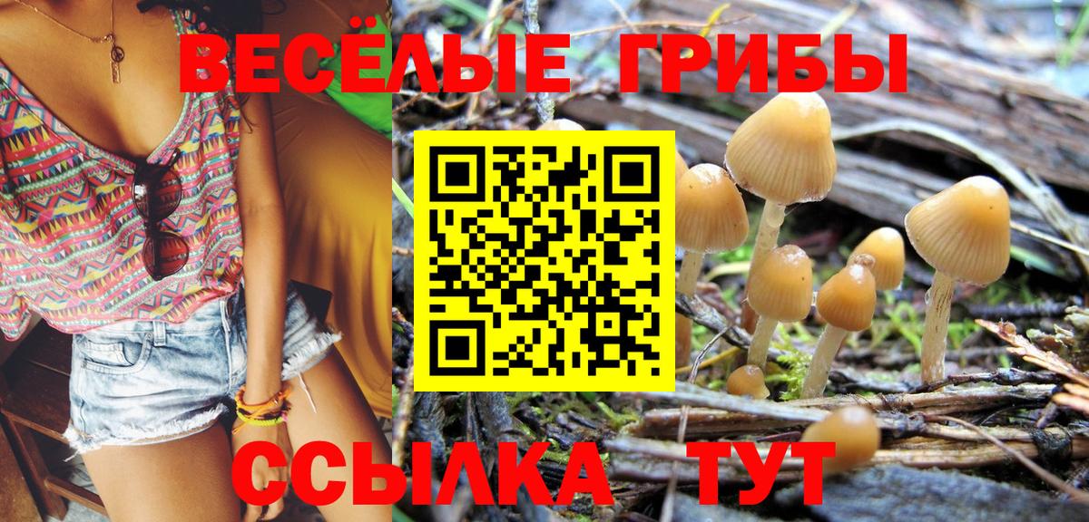 Брянск  Псилоцибиновые грибы ЛСД  купить наркоту  Вход с VPN 