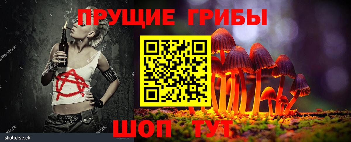 Псилоцибиновые грибы Psilocybine cubensis Брянск